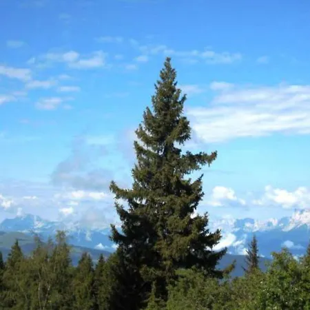 Chamrousse, 2 Pieces, 5 Personnes - Fr-1-340-16 *